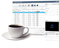 DVD audio extractor